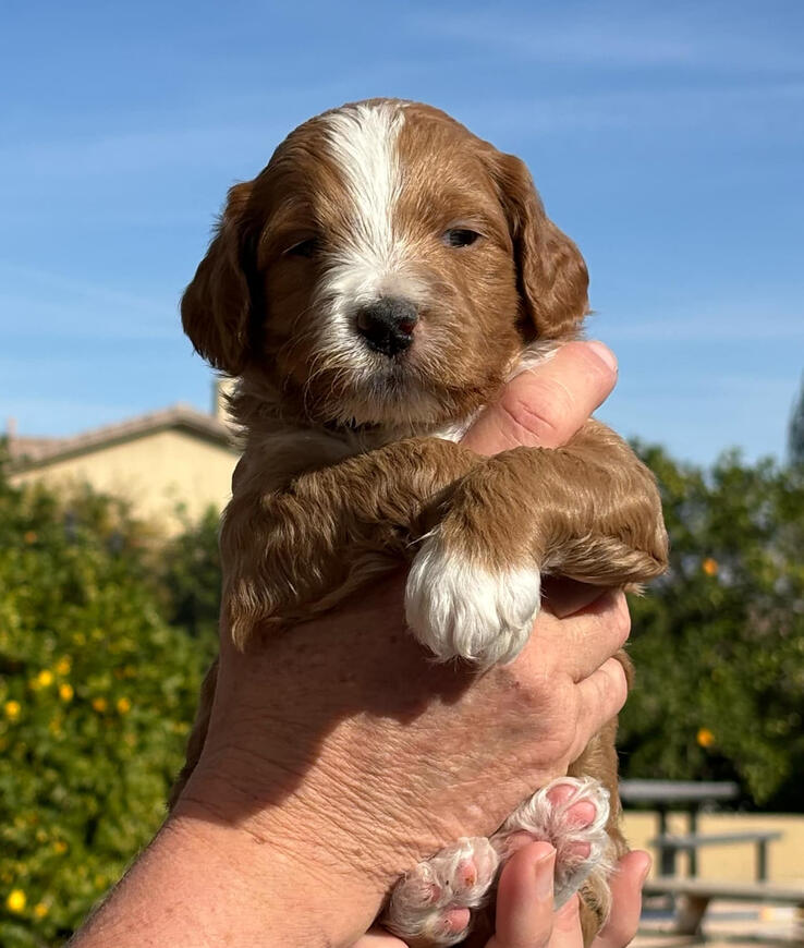 Untitled Untitled
